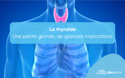 Thyroïde : une petite glande, de grandes implications